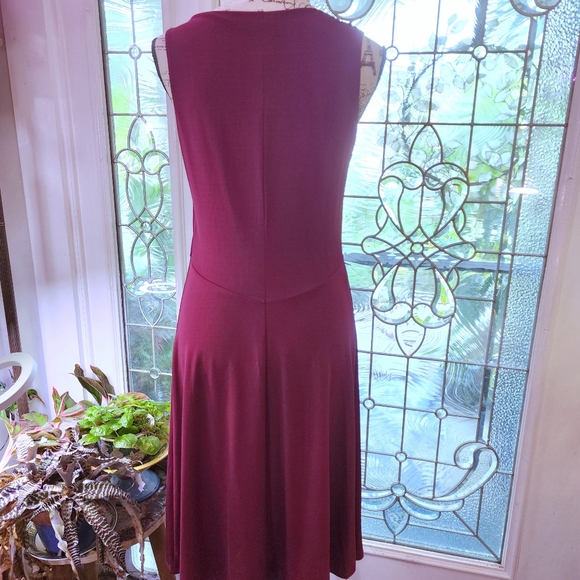 Isabella Bird Fit & Flare Claret Dress MP - Picture 4 of 9